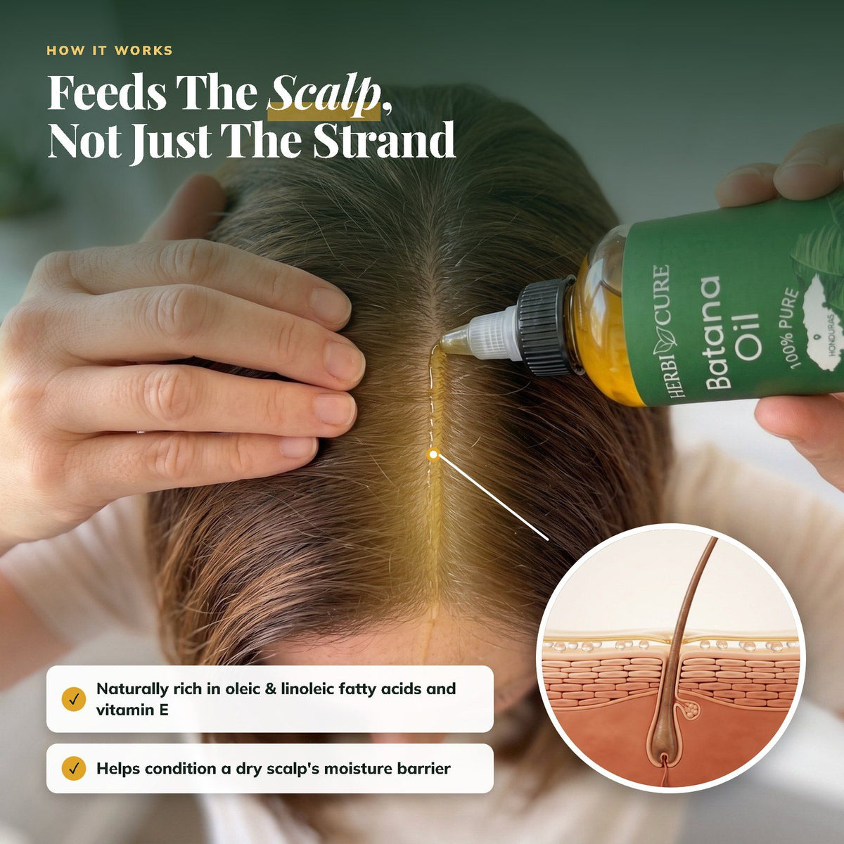 How it works: feeds the scalp, not just the strand